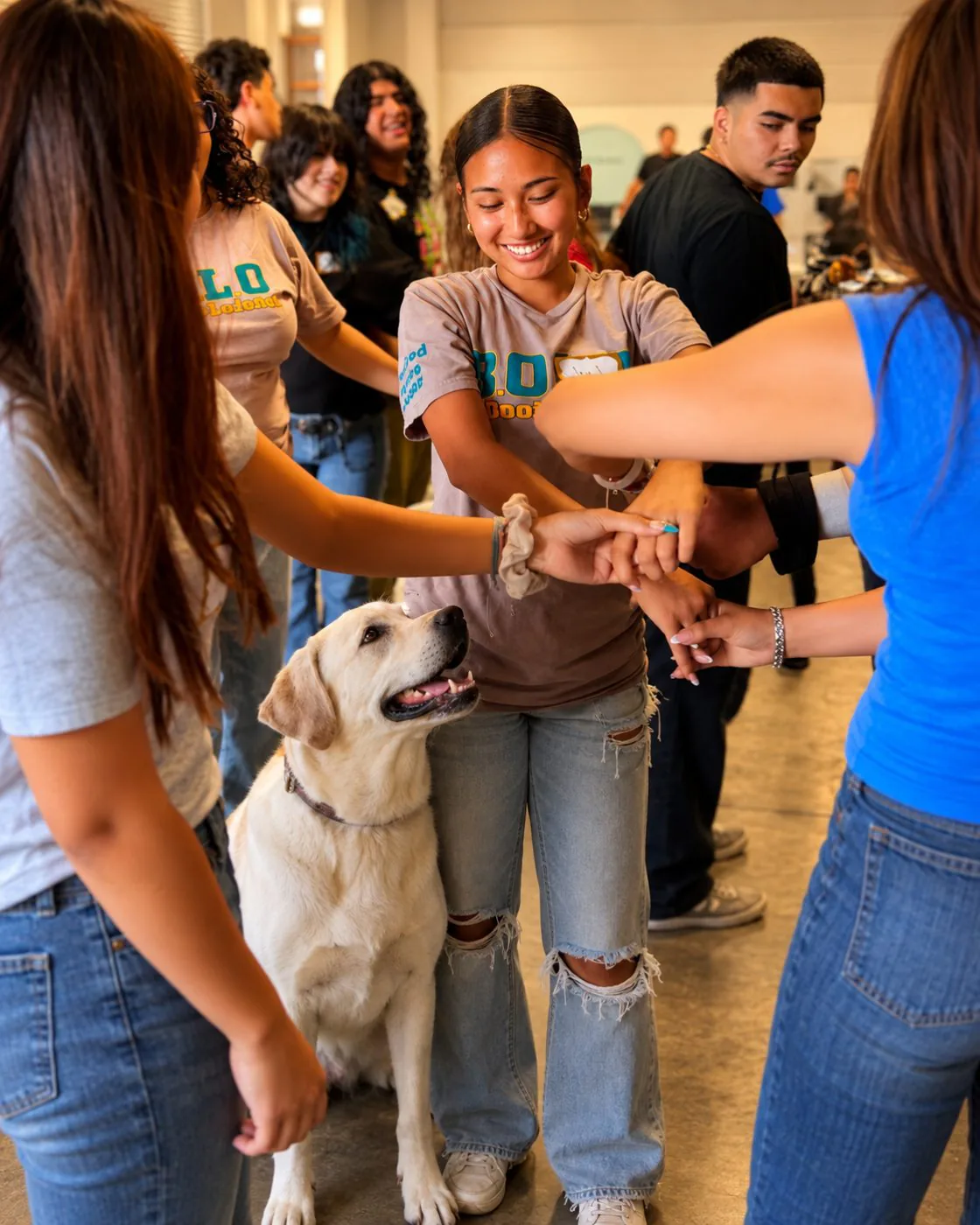 Dog is Good / The Bolo Project