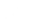 Google Partner